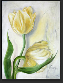 gelbe Tulpen in l
