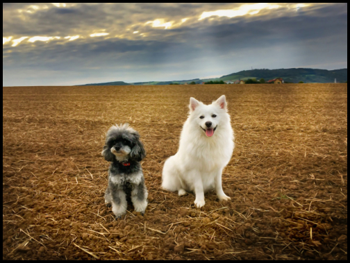 Zwei Freunde vermissen das Grün