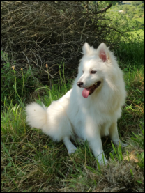 Rikki im August 2016