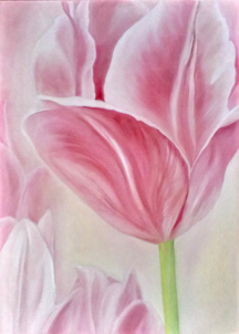 Tulpen / Öl