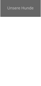 Unsere Hunde