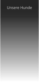 Unsere Hunde