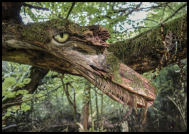 Im Wald ist Platz für Fantasiegestalten
