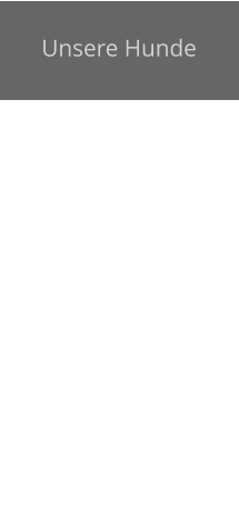 Unsere Hunde